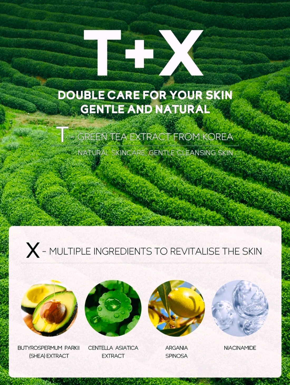 Green Tea Skincare Set